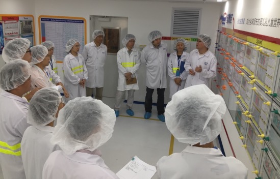 Team building and management